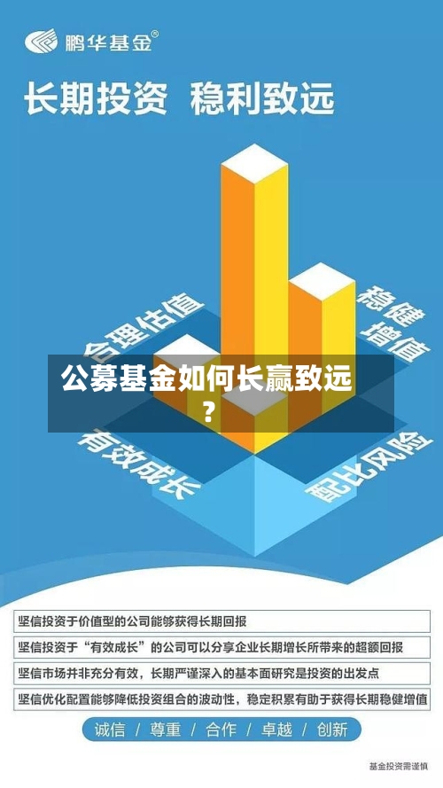 公募基金如何长赢致远？-第3张图片