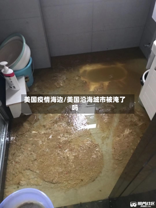美国疫情海边/美国沿海城市被淹了吗
