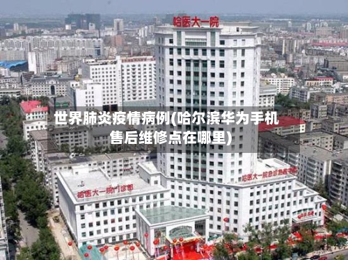 世界肺炎疫情病例(哈尔滨华为手机售后维修点在哪里)-第2张图片