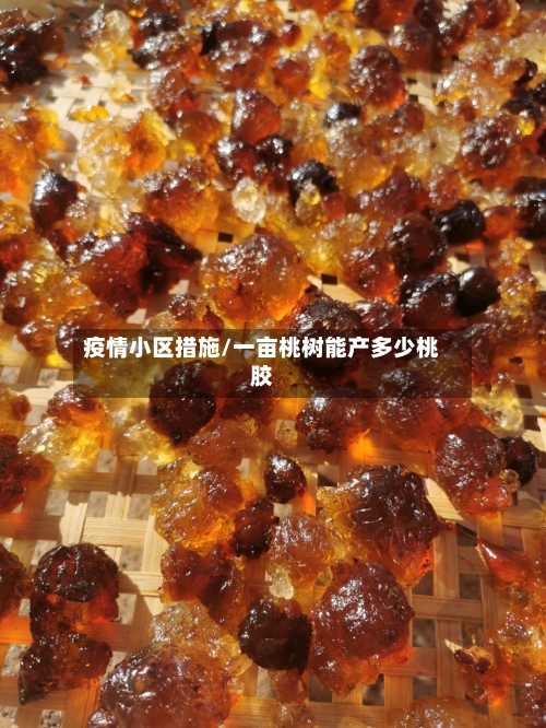 疫情小区措施/一亩桃树能产多少桃胶-第2张图片