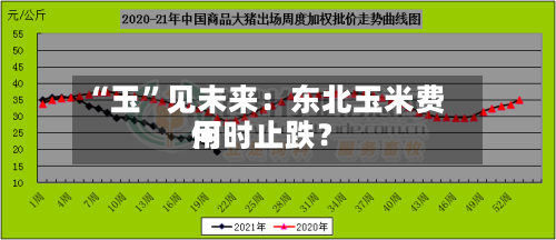 “玉”见未来：东北玉米费用何时止跌？-第3张图片