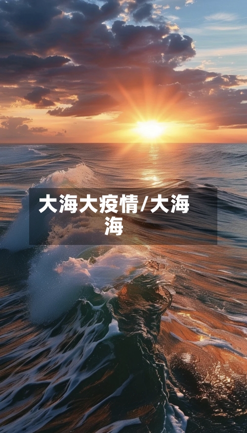 大海大疫情/大海海-第3张图片