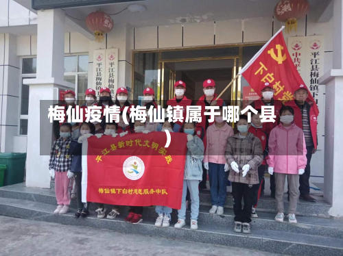 梅仙疫情(梅仙镇属于哪个县)-第3张图片