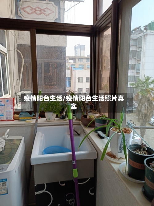 疫情阳台生活/疫情阳台生活照片真实-第3张图片
