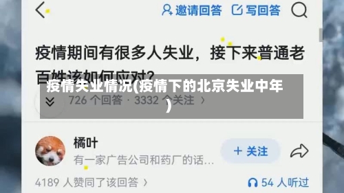 疫情失业情况(疫情下的北京失业中年)