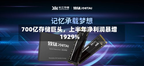 700亿存储巨头，上半年净利润暴增1929%-第3张图片