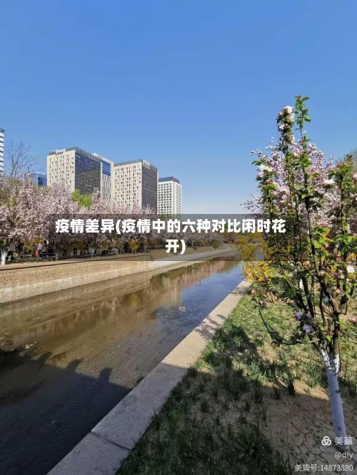 疫情差异(疫情中的六种对比闲时花开)