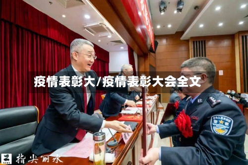 疫情表彰大/疫情表彰大会全文