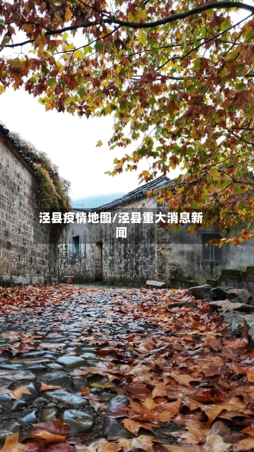 泾县疫情地图/泾县重大消息新闻-第2张图片