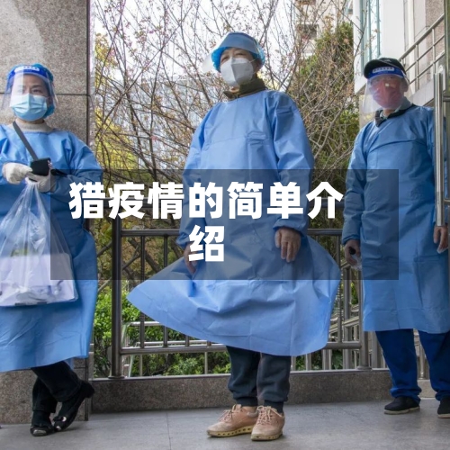 猎疫情的简单介绍-第2张图片
