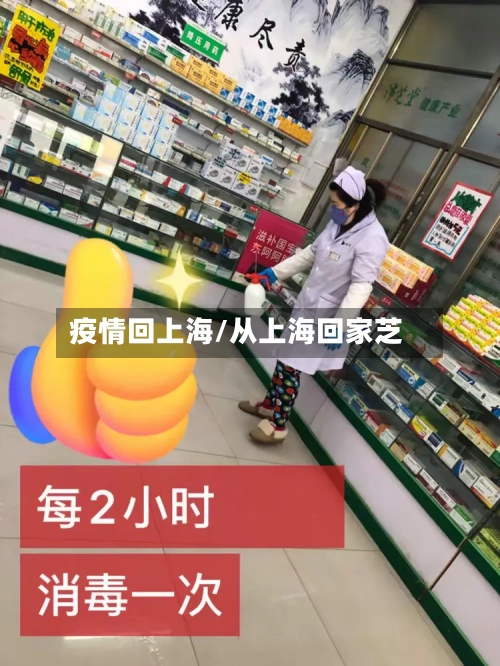疫情回上海/从上海回家芝-第2张图片