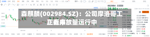 森麒麟(002984.SZ):公司摩洛哥工厂近来
正有序放量运行中-第2张图片