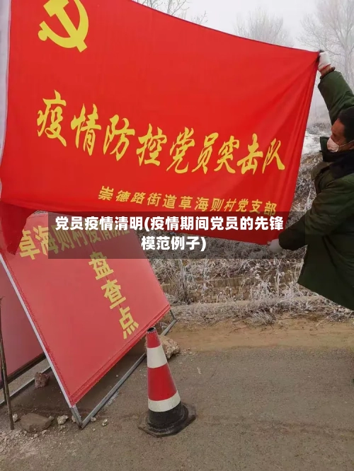 党员疫情清明(疫情期间党员的先锋模范例子)