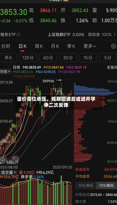 蛋价高位承压	，短期回调后或迎开学季二次反弹-第2张图片