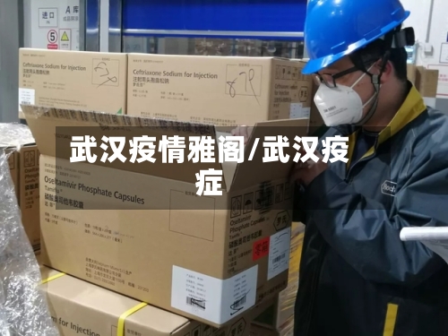 武汉疫情雅阁/武汉疫症
