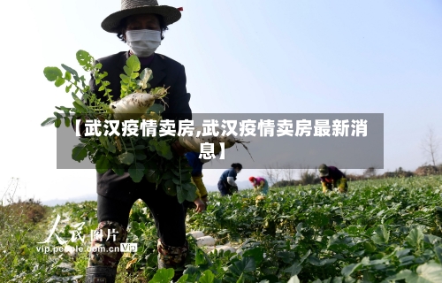 【武汉疫情卖房,武汉疫情卖房最新消息】-第2张图片