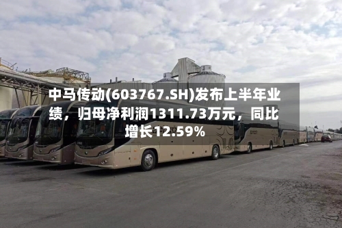 中马传动(603767.SH)发布上半年业绩	，归母净利润1311.73万元，同比增长12.59%-第3张图片
