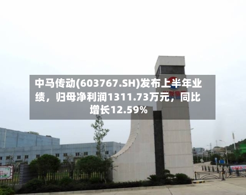 中马传动(603767.SH)发布上半年业绩，归母净利润1311.73万元	，同比增长12.59%-第2张图片