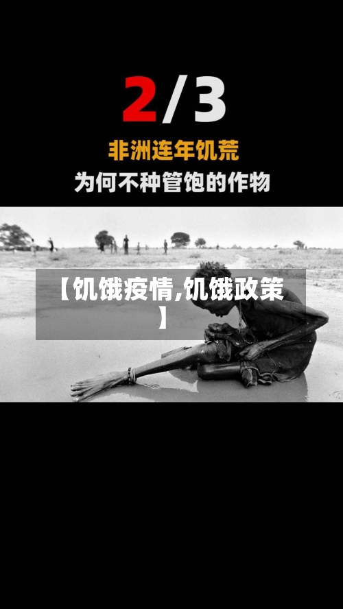 【饥饿疫情,饥饿政策】