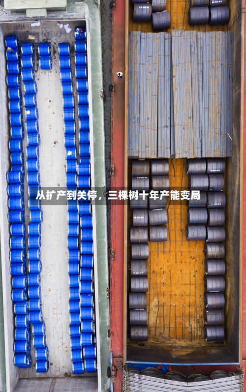 从扩产到关停	，三棵树十年产能变局-第3张图片