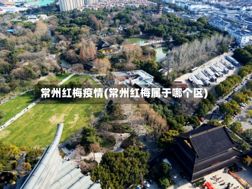 常州红梅疫情(常州红梅属于哪个区)