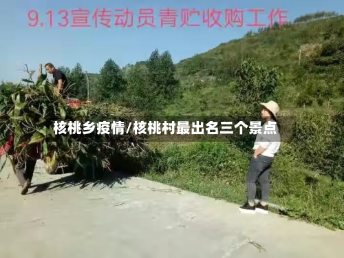 核桃乡疫情/核桃村最出名三个景点