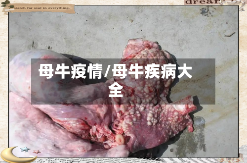 母牛疫情/母牛疾病大全-第2张图片