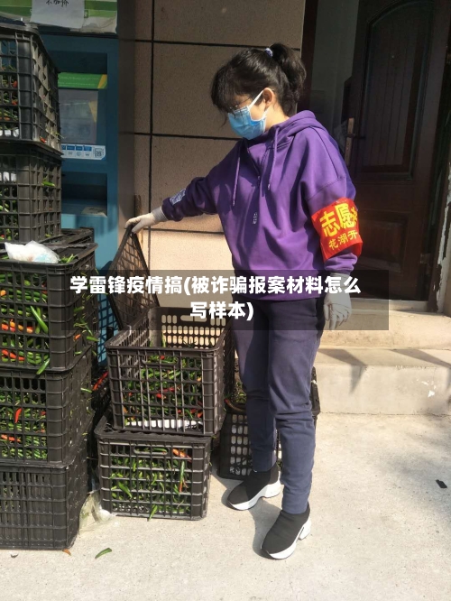 学雷锋疫情搞(被诈骗报案材料怎么写样本)-第2张图片