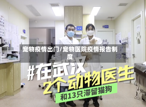 宠物疫情出门/宠物医院疫情报告制度-第3张图片