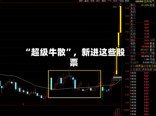“超级牛散	”，新进这些股票-第2张图片
