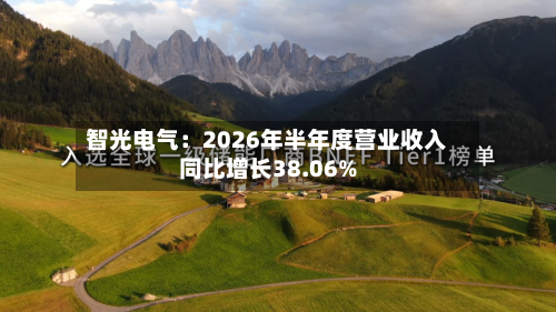 智光电气：2026年半年度营业收入同比增长38.06%