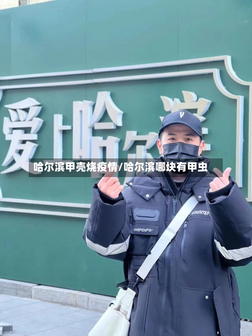 哈尔滨甲壳烧疫情/哈尔滨哪块有甲虫-第3张图片