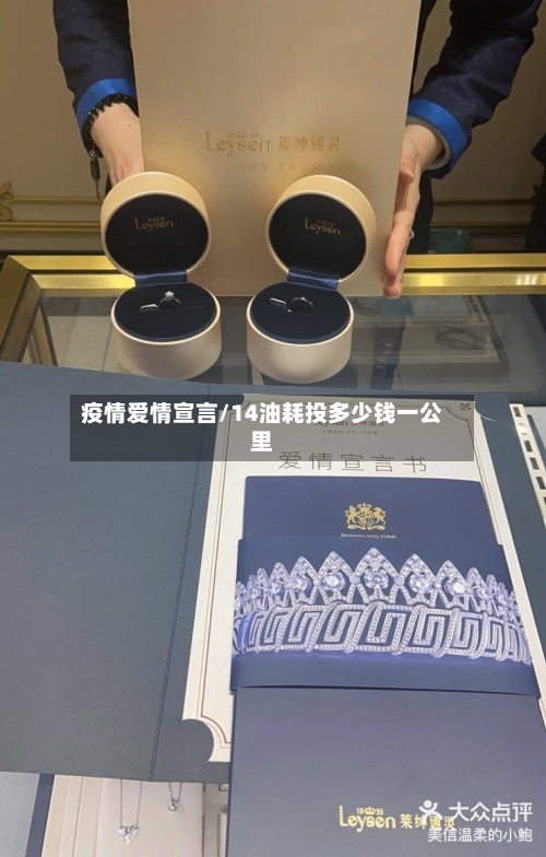 疫情爱情宣言/14油耗投多少钱一公里