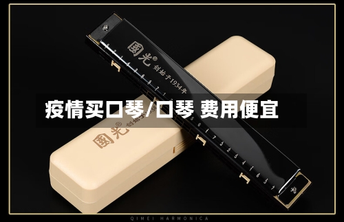 疫情买口琴/口琴 费用便宜