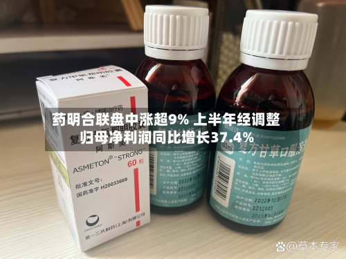 药明合联盘中涨超9% 上半年经调整归母净利润同比增长37.4%-第3张图片