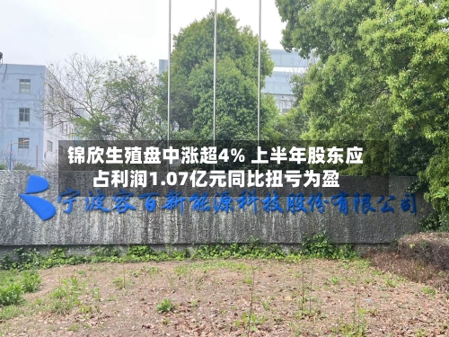 锦欣生殖盘中涨超4% 上半年股东应占利润1.07亿元同比扭亏为盈