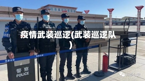 疫情武装巡逻(武装巡逻队)