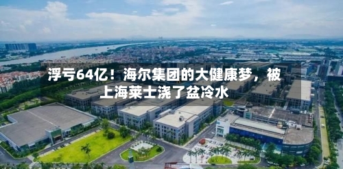 浮亏64亿！海尔集团的大健康梦，被上海莱士浇了盆冷水-第2张图片