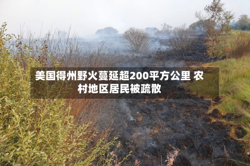美国得州野火蔓延超200平方公里 农村地区居民被疏散