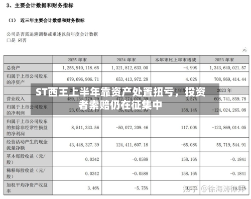 ST西王上半年靠资产处置扭亏，投资者索赔仍在征集中-第3张图片
