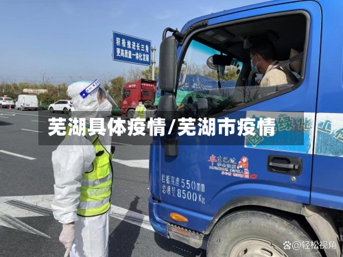 芜湖具体疫情/芜湖市疫情