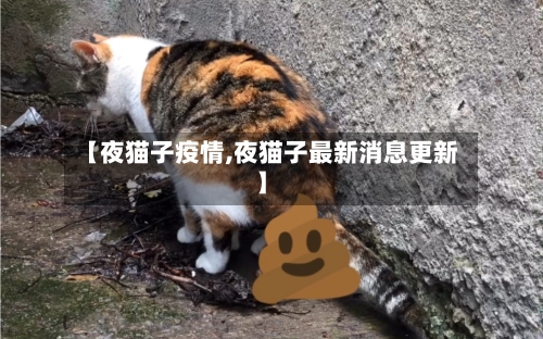 【夜猫子疫情,夜猫子最新消息更新】