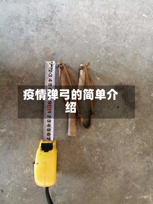 疫情弹弓的简单介绍