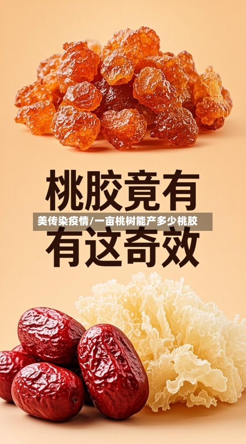 美传染疫情/一亩桃树能产多少桃胶-第3张图片