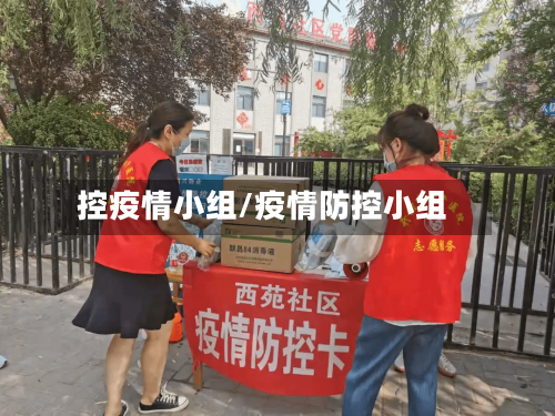 控疫情小组/疫情防控小组