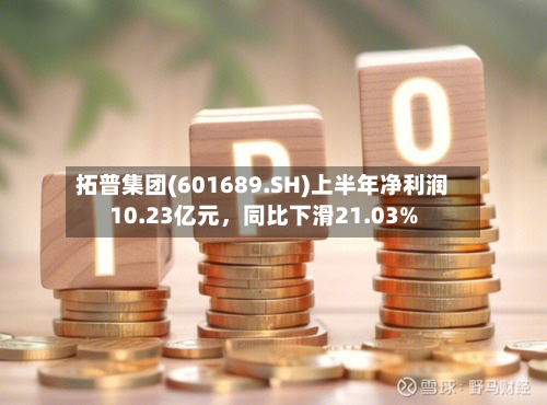 拓普集团(601689.SH)上半年净利润10.23亿元，同比下滑21.03%-第2张图片