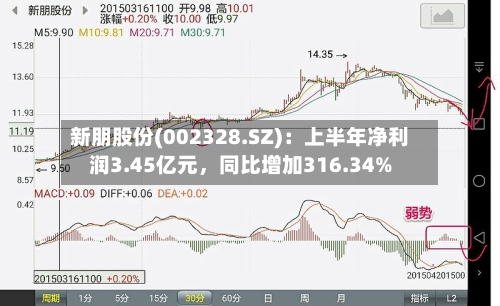 新朋股份(002328.SZ)：上半年净利润3.45亿元，同比增加316.34%-第2张图片