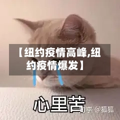 【纽约疫情高峰,纽约疫情爆发】